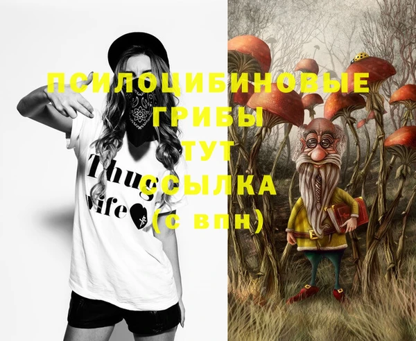 метадон Надым