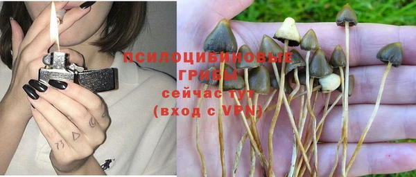 метадон Надым